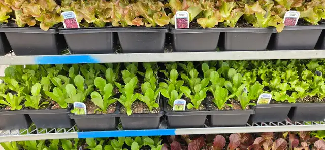 Natural Food Consultation and Supply - Photo 8