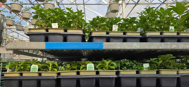 Natural Food Consultation and Supply - Photo 9