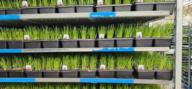 Natural Food Consultation and Supply - Photo 10