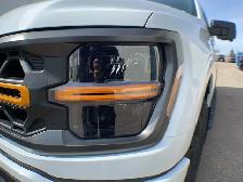 2026 Ford F-150 Tremor 401A - Photo 12