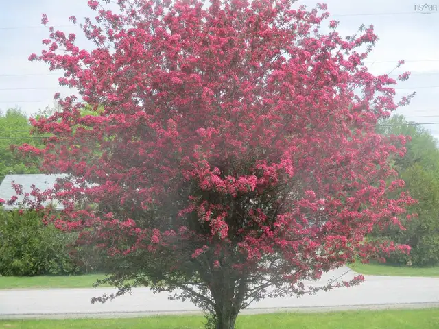 House for sale near Church Point - Photo 5