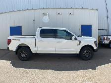 2025 Ford F-150 Tremor 402A - Photo 6