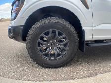 2025 Ford F-150 Tremor 402A - Photo 9