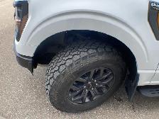 2025 Ford F-150 Tremor 402A - Photo 10