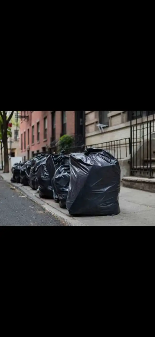 Cleaning, Bringing Garbage Bags Out to the Dumpster - Photo 2