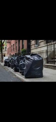Cleaning, Bringing Garbage Bags Out to the Dumpster - Photo 2