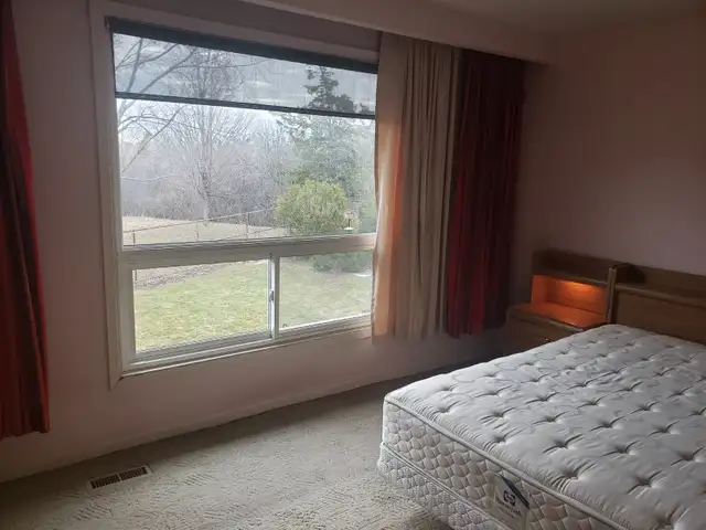 Master Bedroom for Rent Near Humber Collage - Photo 4