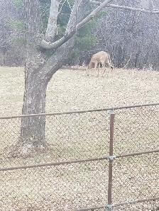 Master Bedroom for Rent Near Humber Collage - Photo 13