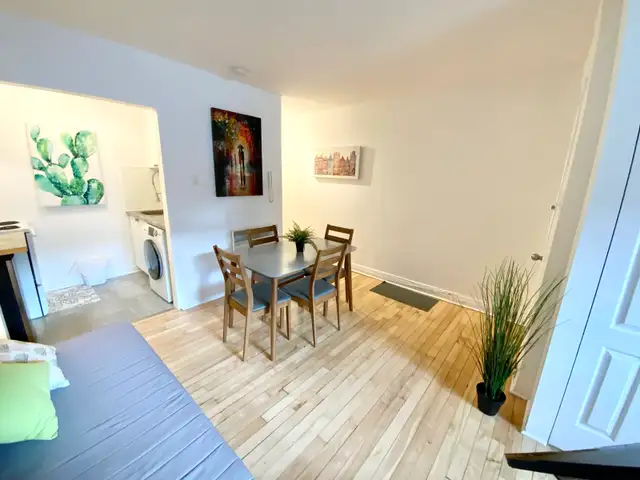 Superbe petit studio Rosemont 5 minutes du plateau ! - Photo 3