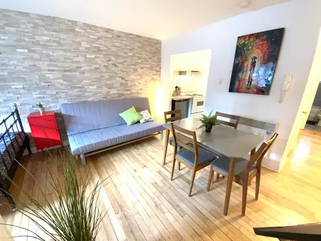 Superbe petit studio Rosemont 5 minutes du plateau ! - Photo 5