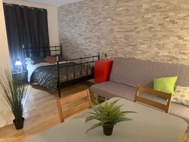 Superbe petit studio Rosemont 5 minutes du plateau ! - Photo 8