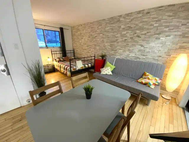 Superbe petit studio Rosemont 5 minutes du plateau ! - Photo 10