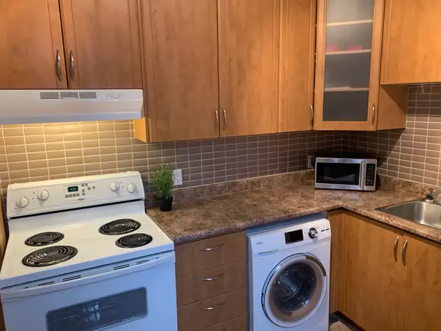 Immense 4 1/2 de 5 pièces ! Idéal colocation! 5 min centre-ville - Photo 4