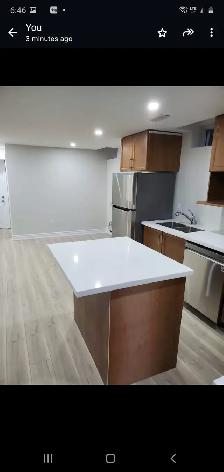 2 Bed 1 Bath legal Basement Apartment - Photo 3