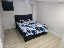 2 Bed 1 Bath legal Basement Apartment - Photo 5