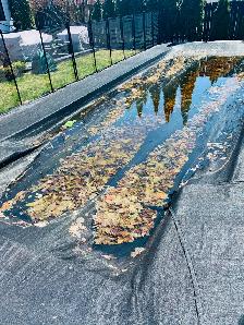 Service Professionnel Ouverture de Piscine - Photo 7