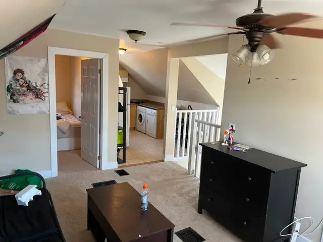 newly renovated 1 bedroom apartment 161 dufferin $1595 all in