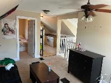 newly renovated 1 bedroom apartment 161 dufferin $1595 all in