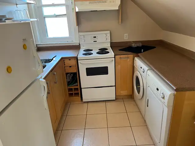 newly renovated 1 bedroom apartment 161 dufferin $1595 all in - Photo 4