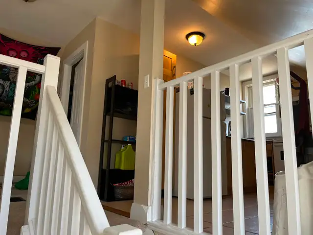 newly renovated 1 bedroom apartment 161 dufferin $1595 all in - Photo 5