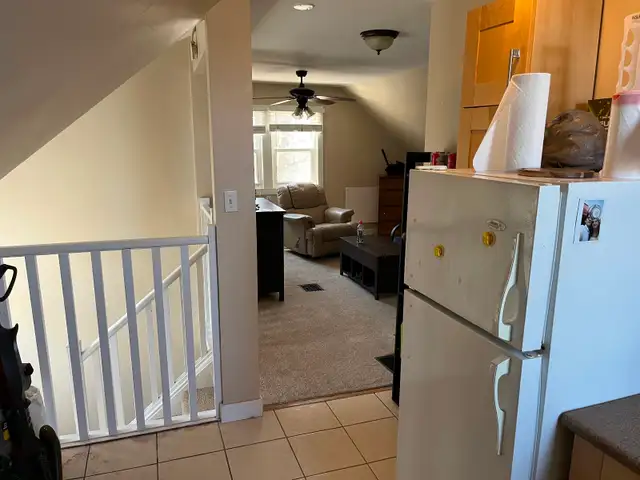 newly renovated 1 bedroom apartment 161 dufferin $1595 all in - Photo 6