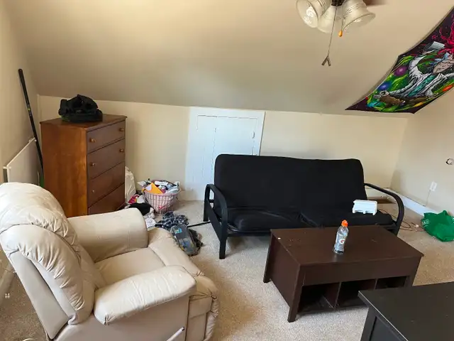 newly renovated 1 bedroom apartment 161 dufferin $1595 all in - Photo 7