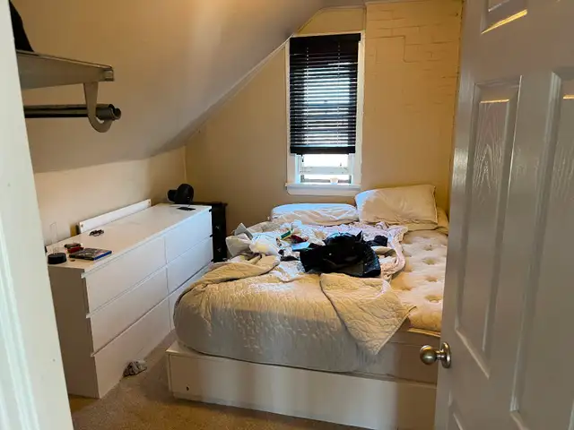 newly renovated 1 bedroom apartment 161 dufferin $1595 all in - Photo 8