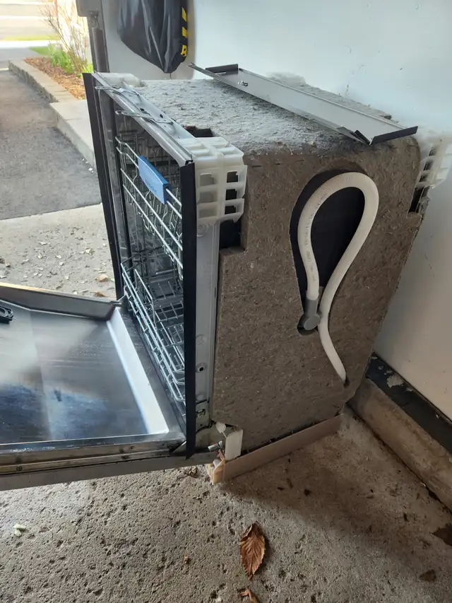 Bosch Dishwasher Stainless Steel - SHE43RL5UC - Photo 4