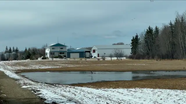 640 acre farm for sale - Photo 4