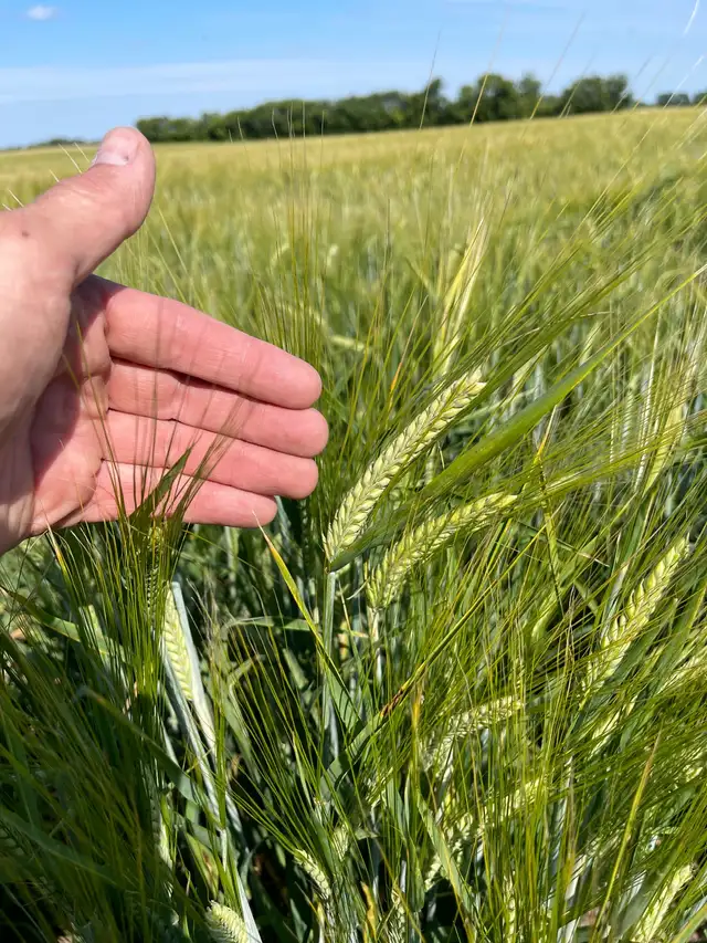 640 acre farm for sale - Photo 8