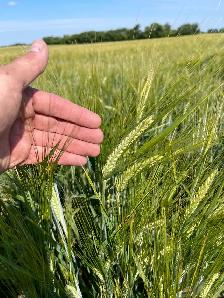 640 acre farm for sale - Photo 8