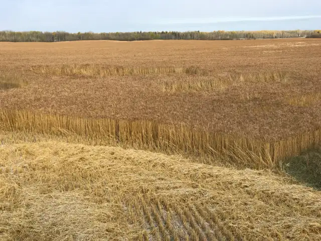 640 acre farm for sale - Photo 9