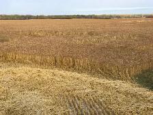 640 acre farm for sale - Photo 9