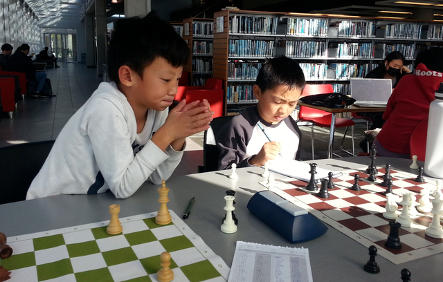 Experienced Chess Master/Teacher - Photo 6