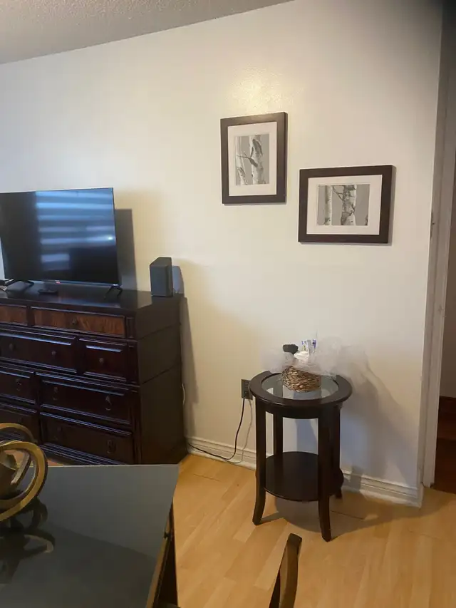 1 Bed 1 Bath Apartment for rent - Photo 5