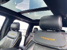 2022 Ford F-150 Tremor - Photo 6