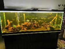 COMPLETE 150 GALLON AQUARIUM SET UP