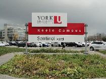 Private Room for Rent / North York / Subway - Photo 11