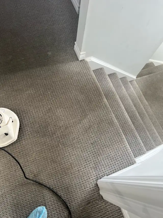Shampoo Steam Clean Carpet Area Stairs-Rooms $40 - Photo 2