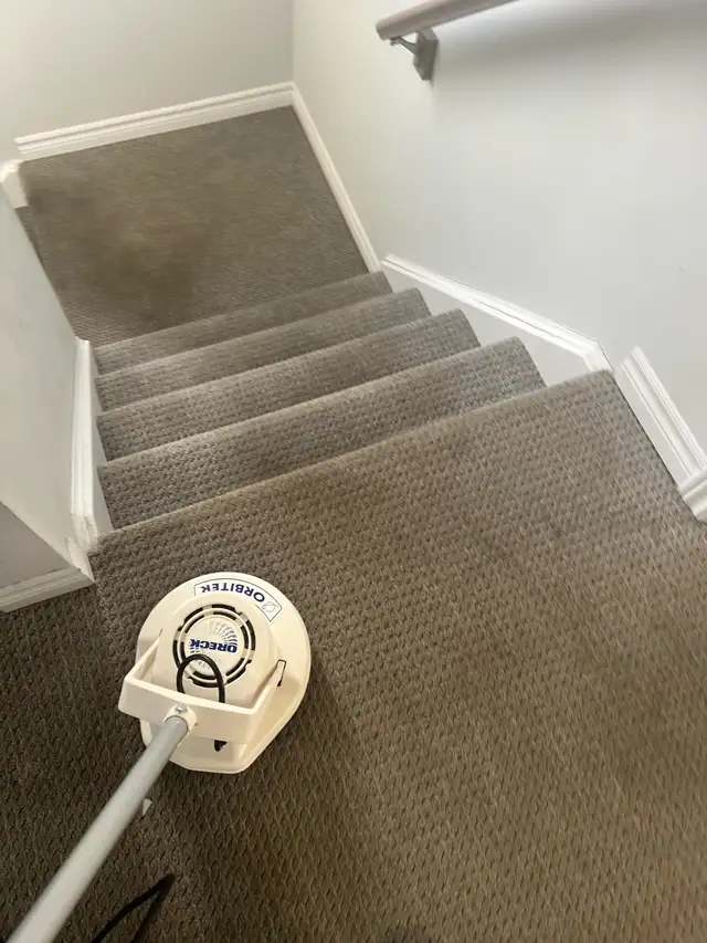 Shampoo Steam Clean Carpet Area Stairs-Rooms $40 - Photo 4