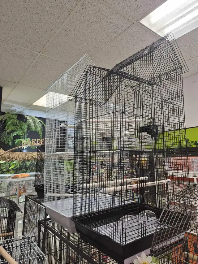 GROSSE PROMO!! - Photo 2