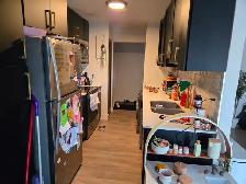 Modern 2-Bedroom Apartment for Rent in Kitchener! - Photo 5