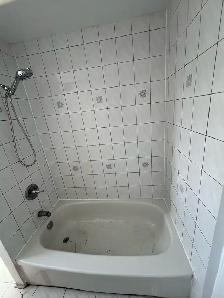 Caulking Shower Bathtub Sink $100