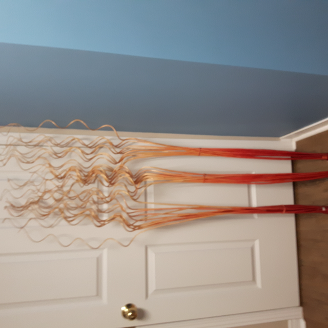 36 BRANCHES NEUVES DÉCO EN BOIS 5 PIEDS HAUT $1.00CH OU $10.0012 - Photo 2