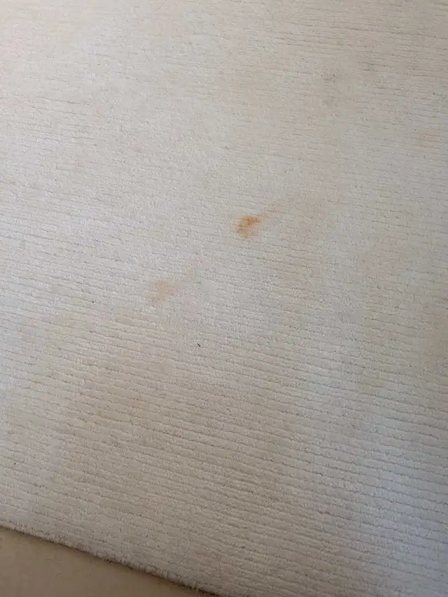 Same-Day stain removal & upholstery cleaning EMERGENCIES SAMEDAY - Photo 7