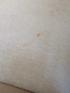 Same-Day stain removal & upholstery cleaning EMERGENCIES SAMEDAY - Photo 7