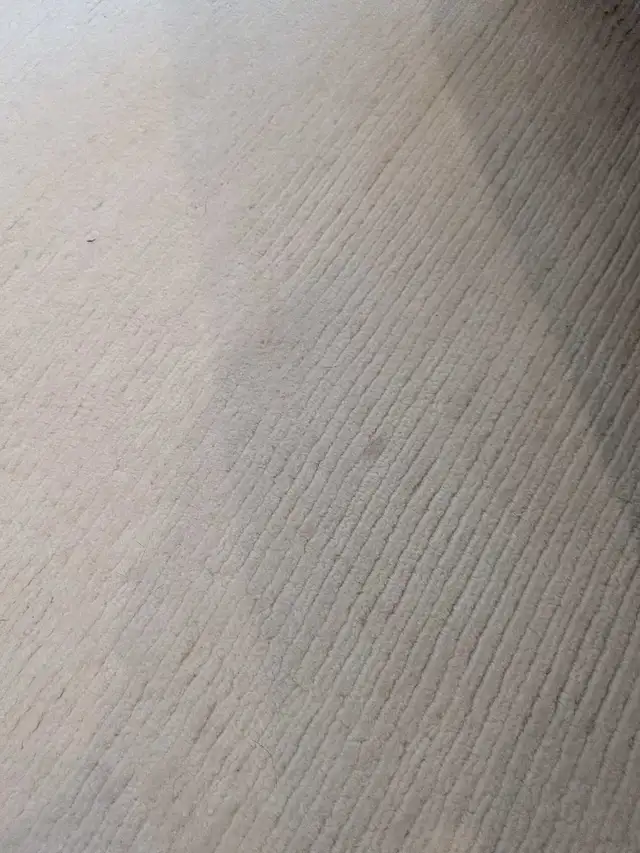 Same-Day stain removal & upholstery cleaning EMERGENCIES SAMEDAY - Photo 8