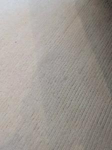 Same-Day stain removal & upholstery cleaning EMERGENCIES SAMEDAY - Photo 8