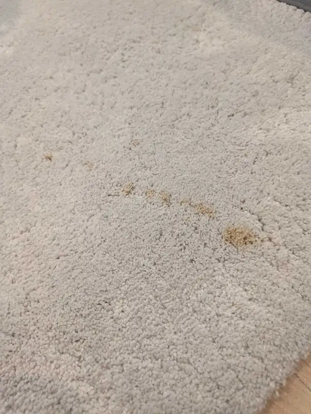 Same-Day stain removal & upholstery cleaning EMERGENCIES SAMEDAY - Photo 9