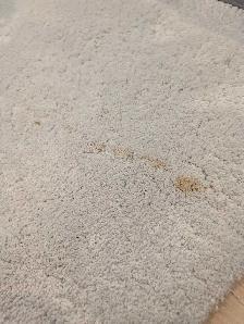 Same-Day stain removal & upholstery cleaning EMERGENCIES SAMEDAY - Photo 9